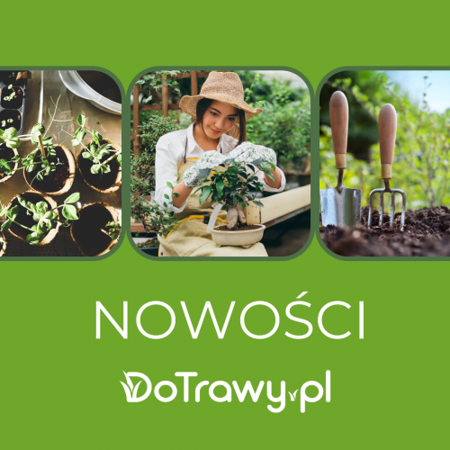 Nowości